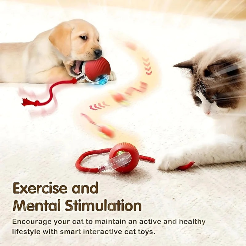 Smart Rolling Pet Toy Ball
