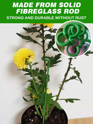 Climbing plant anti-lodging fixed bracket