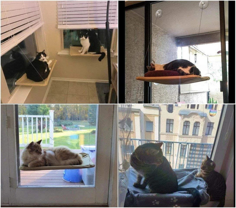 Window-Mounted Cat Hammock