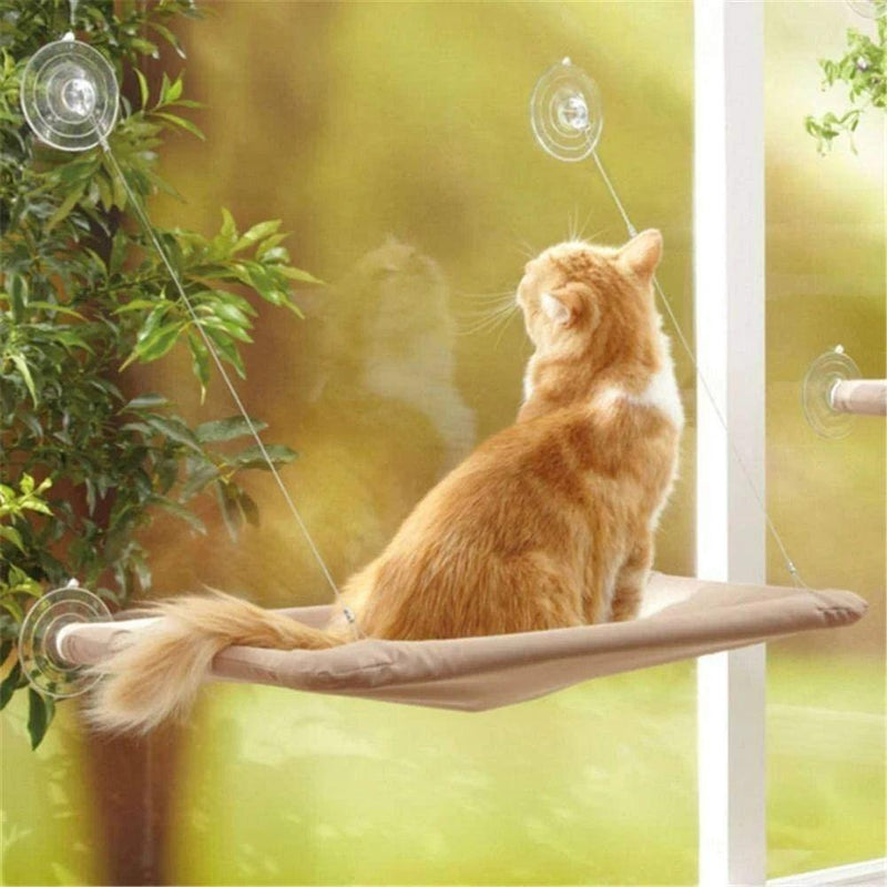 Window-Mounted Cat Hammock