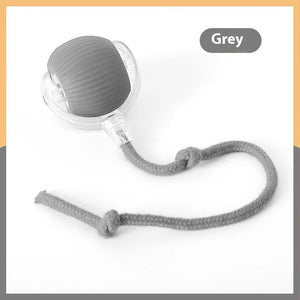Smart Rolling Pet Toy Ball